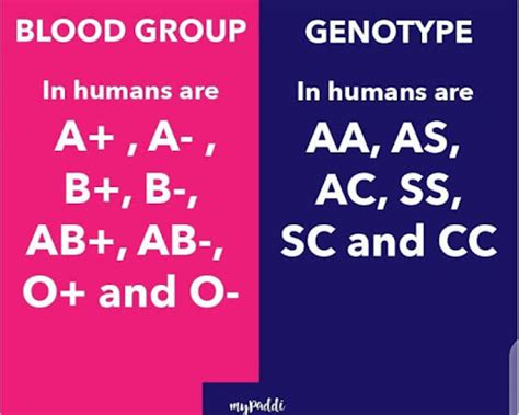 Health – Genotype and Coping Strategies for UI Students in the Second ...