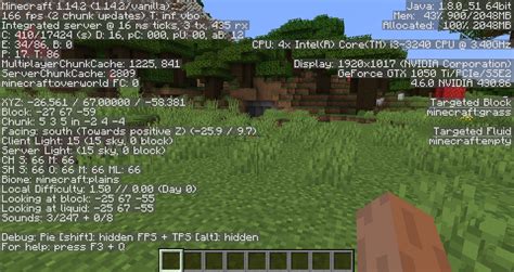 File:DebugScreen.png – Official Minecraft Wiki