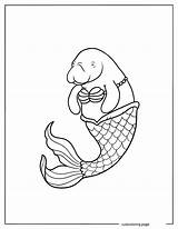 Manatee Coloring Pages20  Free Printable coloring Pages Cute sketch template