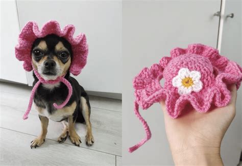 10 Cute Crochet Dog Hat Patterns to Make For Your Pup - Easy Crochet ...