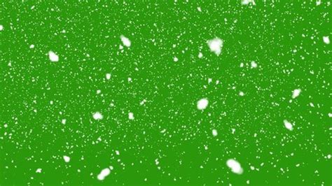 isolated falling snow on green screen Stock Footage Video (100% Royalty-free) 1016739253 ...