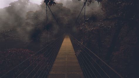 bridge, Forest, Landscape Wallpapers HD / Desktop and Mobile Backgrounds