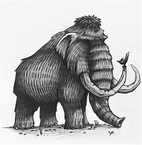 Woolly Mammoth drawing / illustration | Animal drawings sketches, Prehistoric art, Wooly mammoth