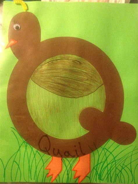 Q is for Quail | Kids literacy, Zoo phonics, Classroom fun