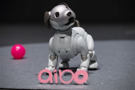 Aibo: Sony Presented The Robot Dog Equipped With Artificial ...