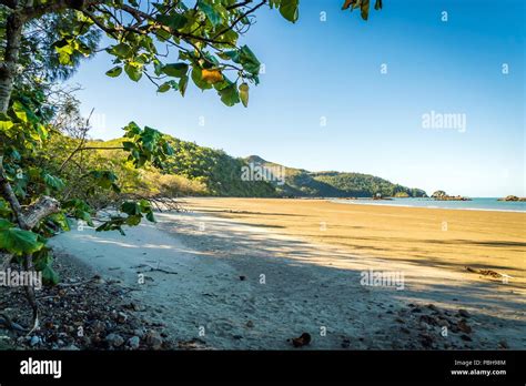 Beach in Cape Hillsborough national park in the summer Stock Photo - Alamy