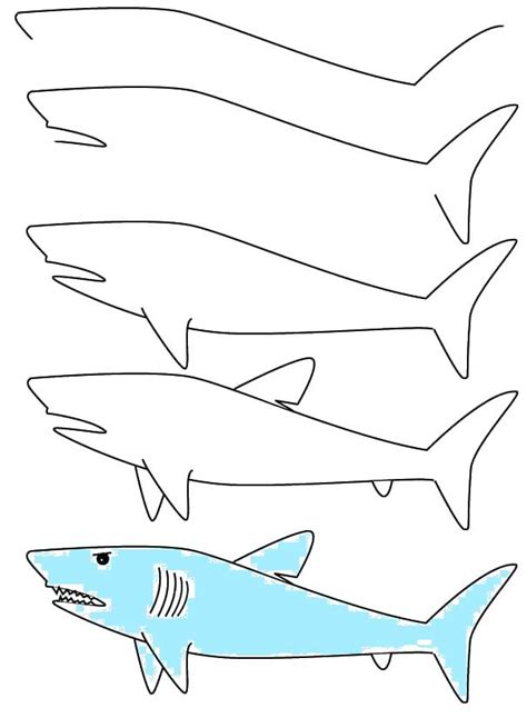Shark Drawing Easy at PaintingValley.com | Explore collection of Shark Drawing Easy