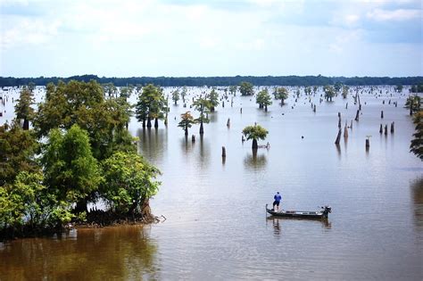 Fishing in the Atchafalaya Basin | My husband is a truck dri… | Flickr