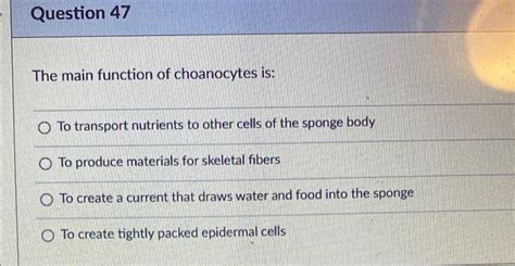 Solved Question 47 The main function of choanocytes is: O To | Chegg.com