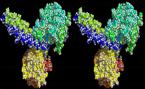 Kinesin Esthetics - Famous Proteins in Frames