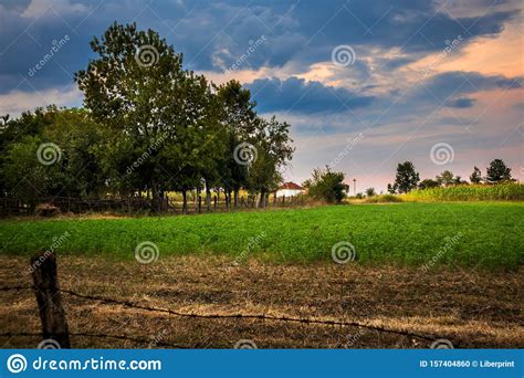 Rural Scene in a Village at Sunset Stock Photo - Image of farm, grass: 157404860