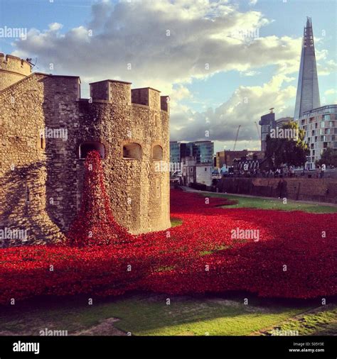 Poppies at The Tower of London Stock Photo - Alamy