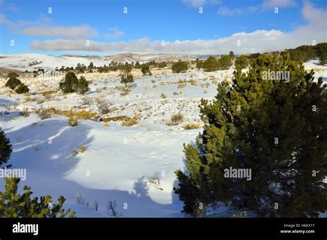 hike near the Great Sand Dunes National Park, Colorado in winter Stock Photo - Alamy