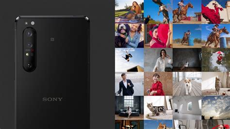 Sony Xperia 1 II camera samples look spectacular - Phandroid