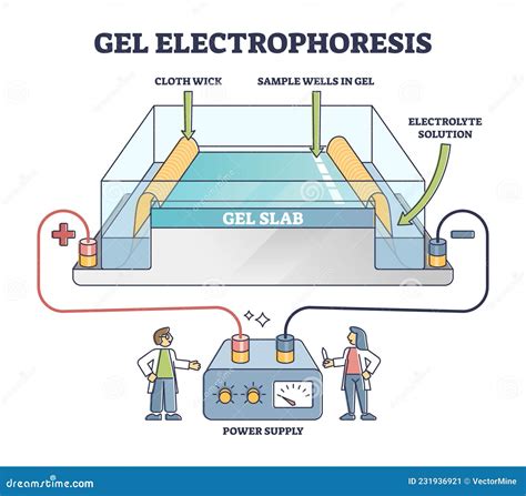 Separation Of Mixtures. Separation Of Sawdust And Sand Flour. Education ...