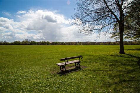 Bench Free Stock Photo - Public Domain Pictures