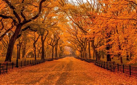 Autumn Central Park New York Wallpapers - Wallpaper Cave