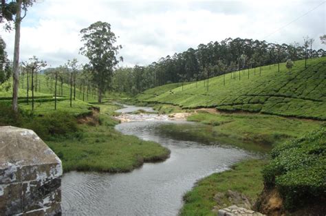 Best Places to Visit in Valparai | Petra Family Guest House