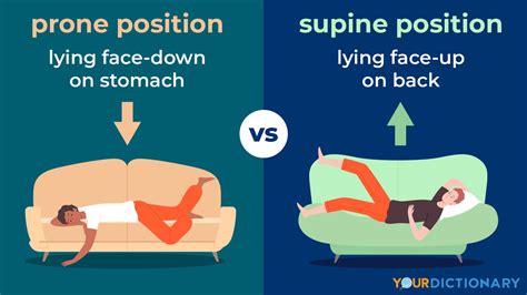 Prone vs. Supine: The Simple Difference | YourDictionary