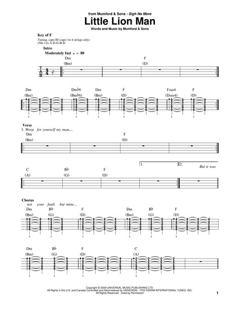 Mumford & Sons - Little Lion Man sheet music