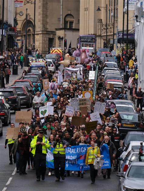 Pictures: Eco-warriror protest as it happens - Bristol Live