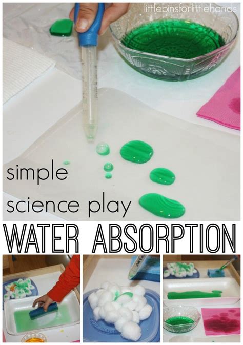 What Absorbs Water: Absorption For Kids - Little Bins for Little Hands ...