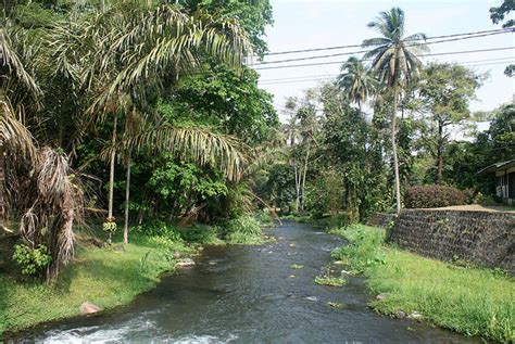 Limbe Botanic garden (Cameroon) - walking tours Limbe - hiking Limbe ...