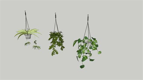 Hang Planter | Hanging plants, Planters, Hanging