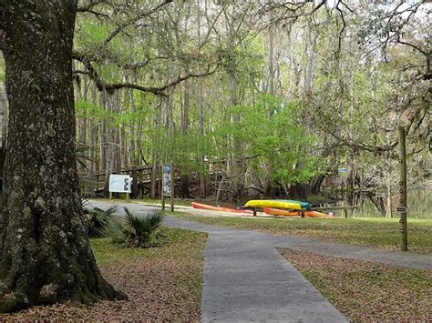 Campground Review: Manatee Springs State Park | Scenic Pathways