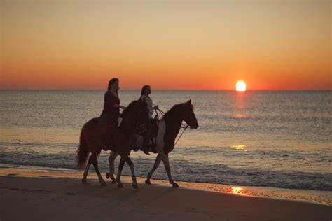 Horse Lovers "Show Up" To Address Beach Riding Ban MyrtleBeachSC News