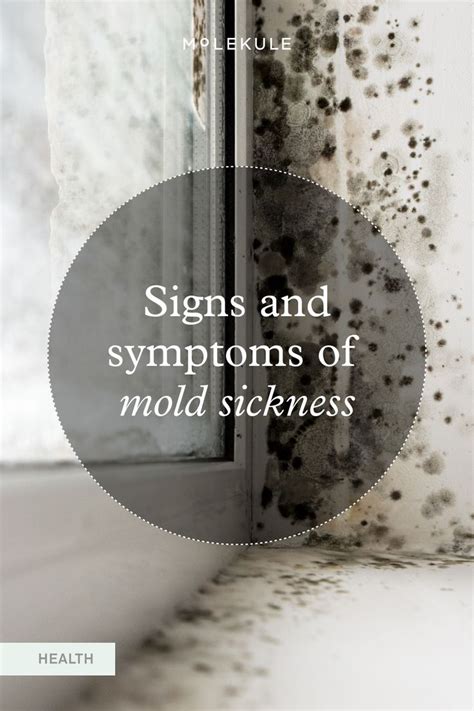 Molekule air purifiers destroy mold spores in the air. Mold exposure ...