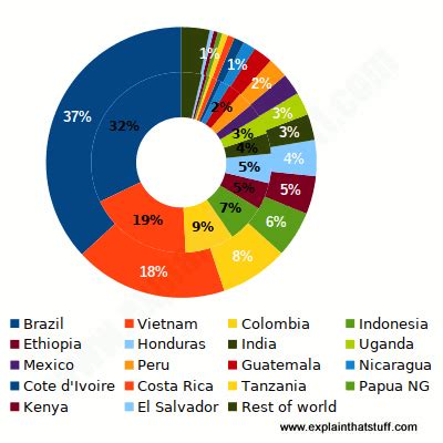 Coffee - An introduction to the world's favorite drink