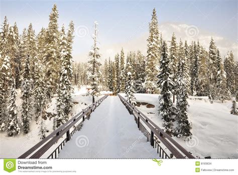 Winter Bridge in Snow Field Stock Photo - Image of forests, cold: 8193634