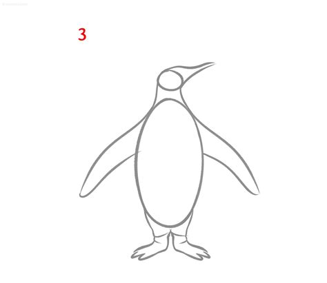 Penguin Drawing How to draw a Penguin