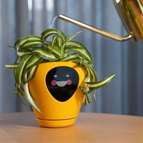 This Smart Planter Transforms Your Houseplant Into A Housepet | Planters, Fun planters, Virtual pet