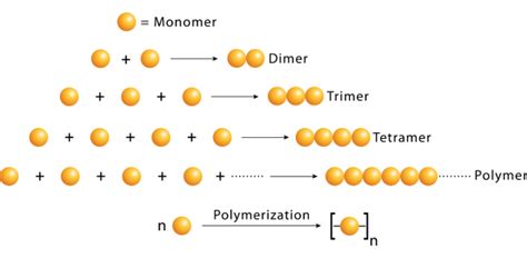 Polymerization: Monomers and Polymers Quiz | Attempts: 699 - Trivia & Questions