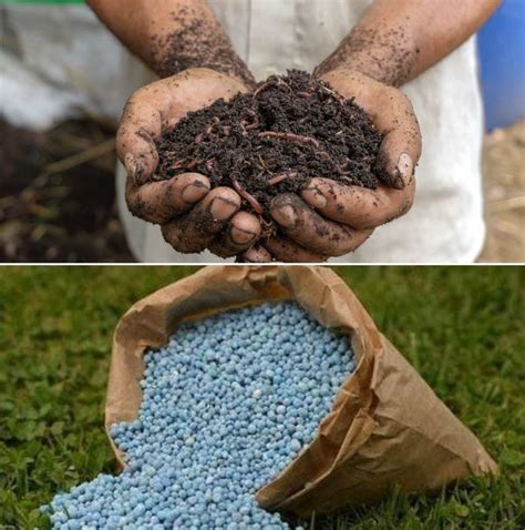 Difference Between Manure and Fertilizers - A Full Guide | Agri Farming