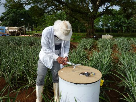 Measuring Greenhouse Gases in Agriculture: IAEA Project Develops New Knowledge and Innovative ...