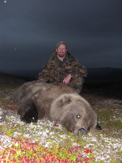 Brown Bear Hunting