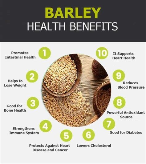 18 Tremendous Health Benefits of Barley, You must know - My Health Only