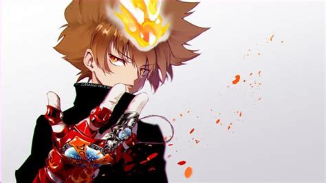 Sawada Tsunayoshi - Katekyo Hitman REBORN! - Wallpaper by tanako ...