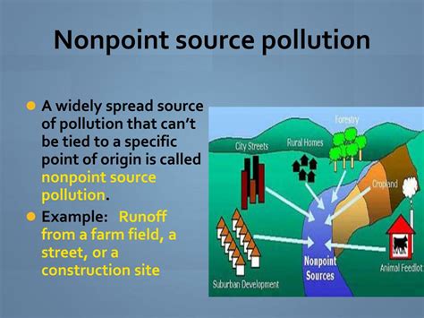 PPT - Water Pollution PowerPoint Presentation, free download - ID:6122306