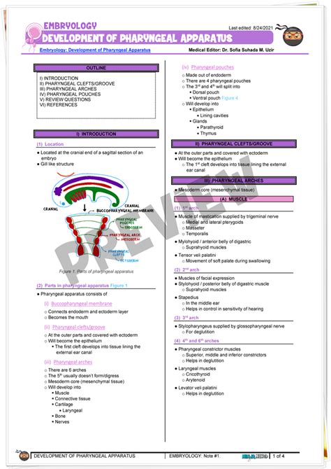 Development of Pharyngeal Apparatus - Notes - NinjaNerd Medicine