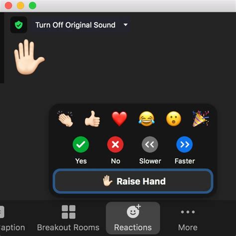 3-new-zoom-reactions-button-raise-hand - Jan Keck