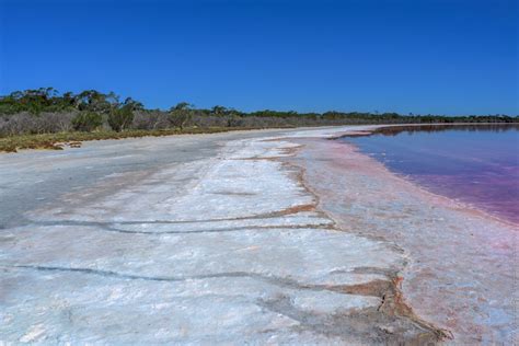 Pink Lake. The state of Victoria. | by Alexander Kondakov | Medium