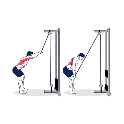 Straight Arm Lat Pulldown – Simply Fitness