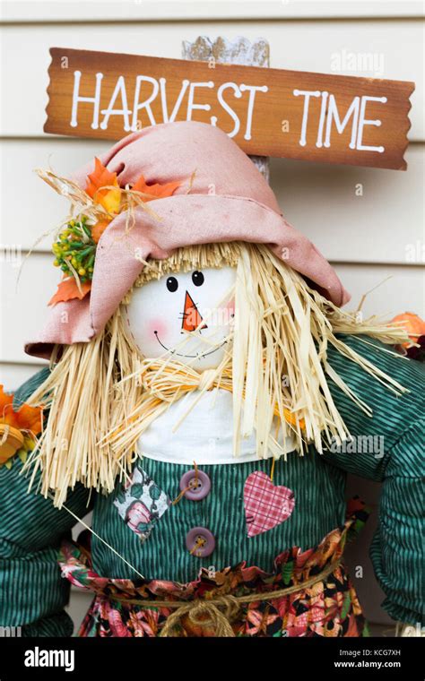 Fall Scarecrow Closeup, fall scarecrow decoration Stock Photo - Alamy