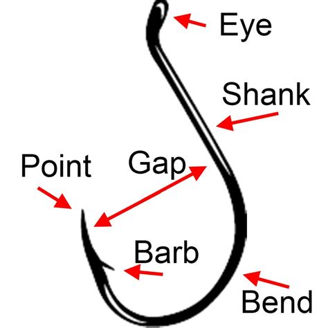 Complete Guide To Fishing Hook Types and Sizes - HubPages