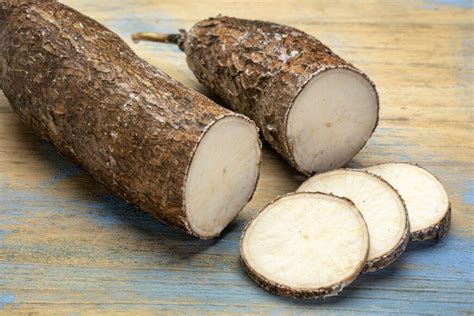 Yucca Root