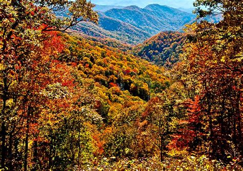 Smoky Mountains Magical Fall Foliage - Americaware